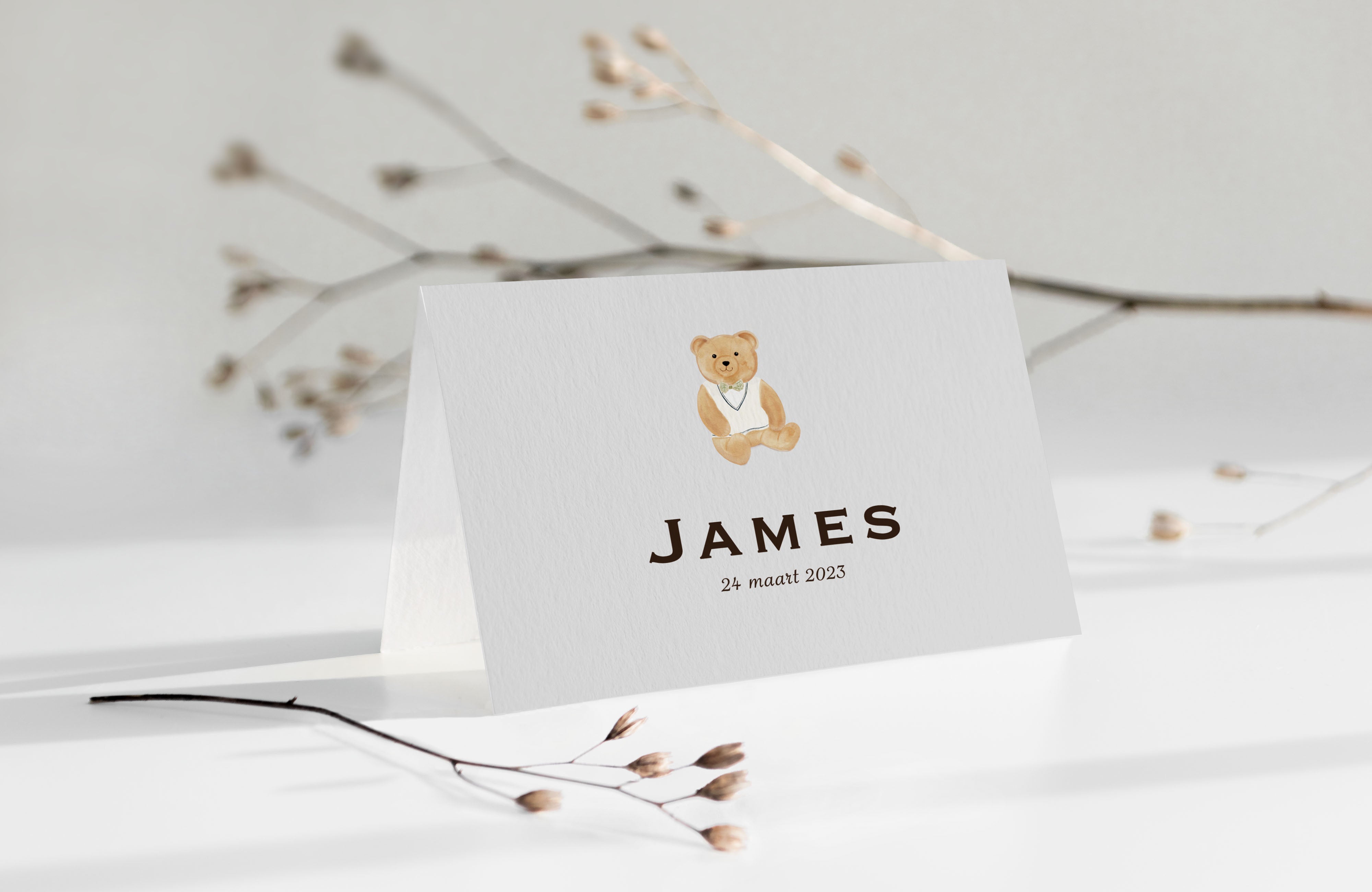 SAMPLE BIRTH ANNOUNCEMENTS