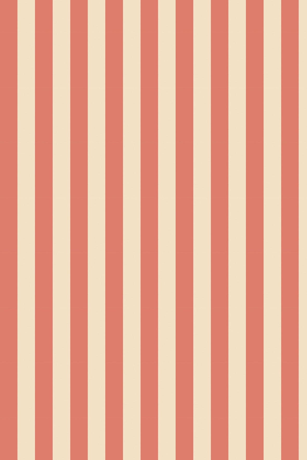 Wallpaper tiny stripes coral