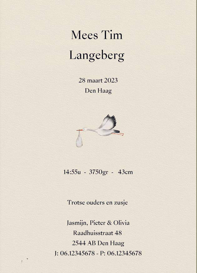 Sample Birth Balloon Red Card