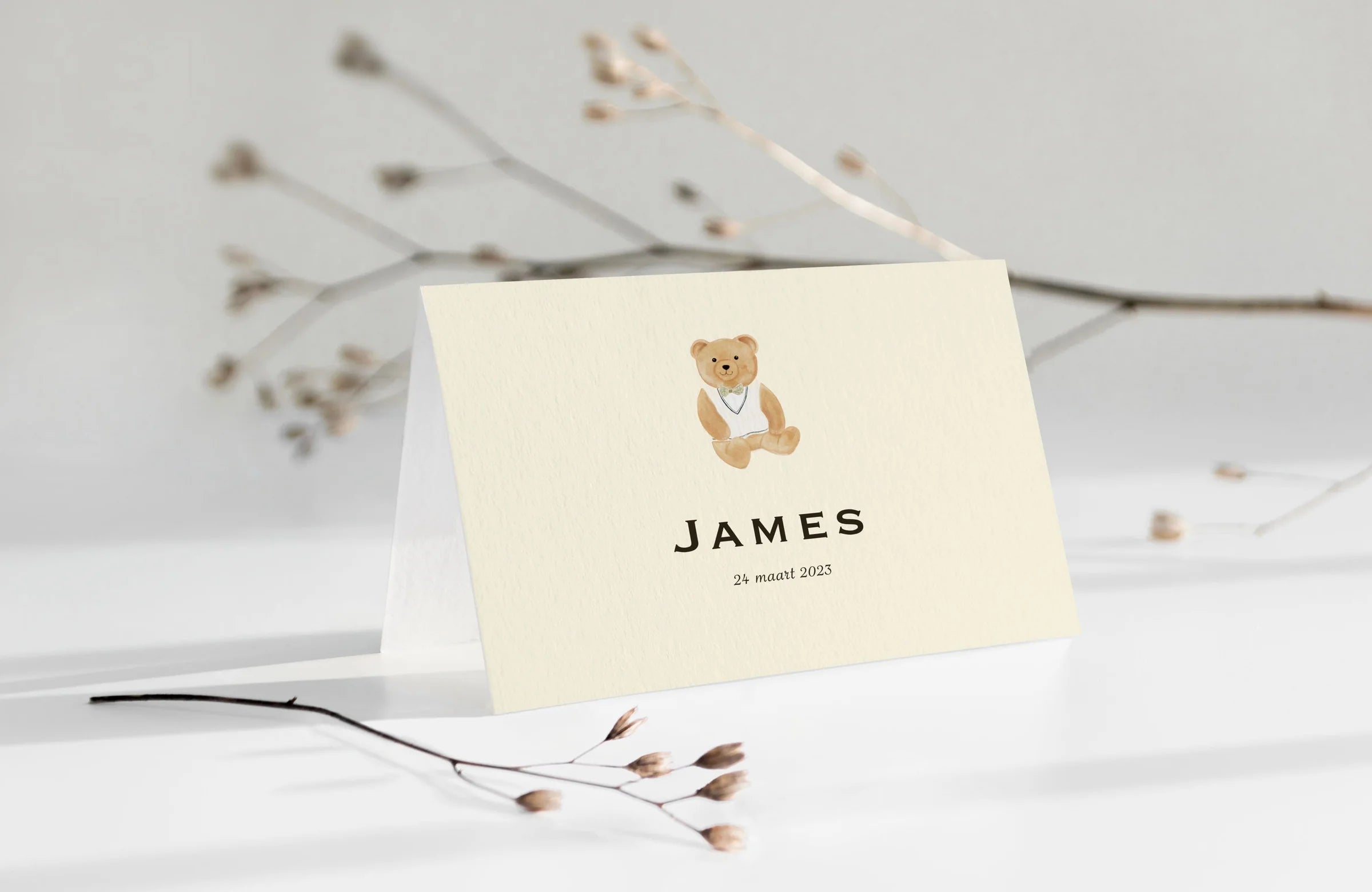 Sample Birth Teddy Bear Card