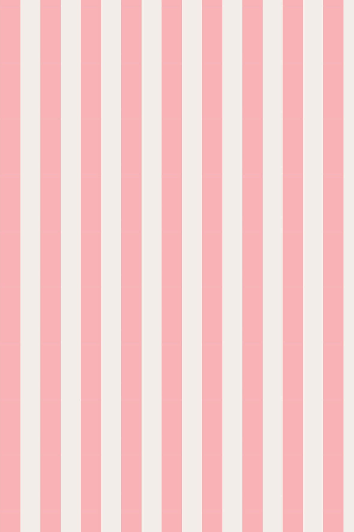 Wallpaper pink tiny stripes