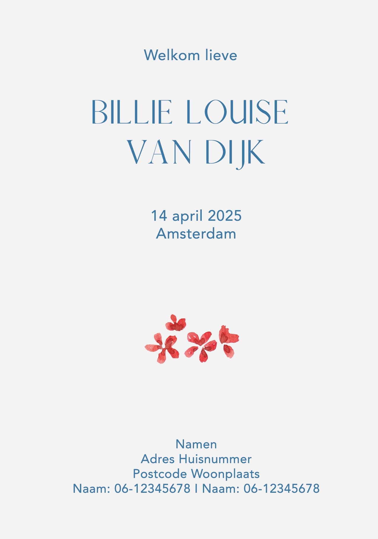 Birth announcement colorful card