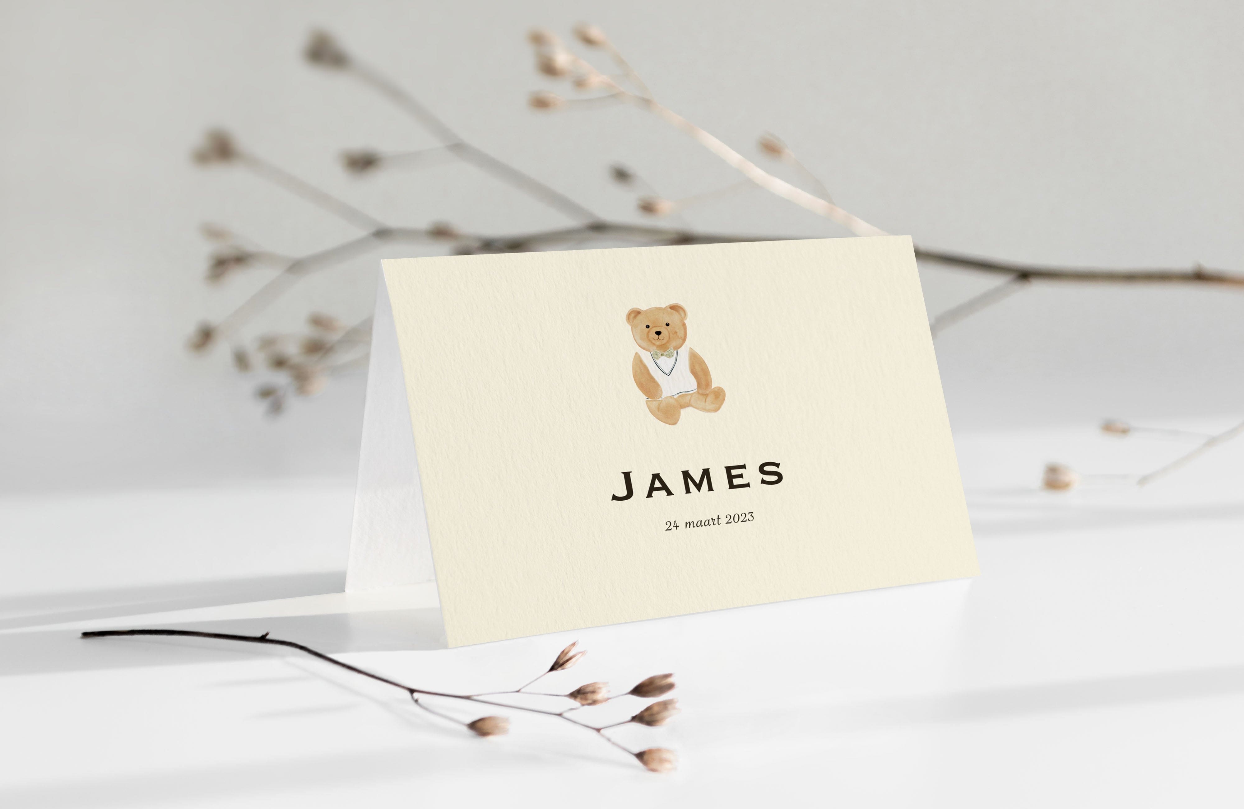 Birth teddy bear card