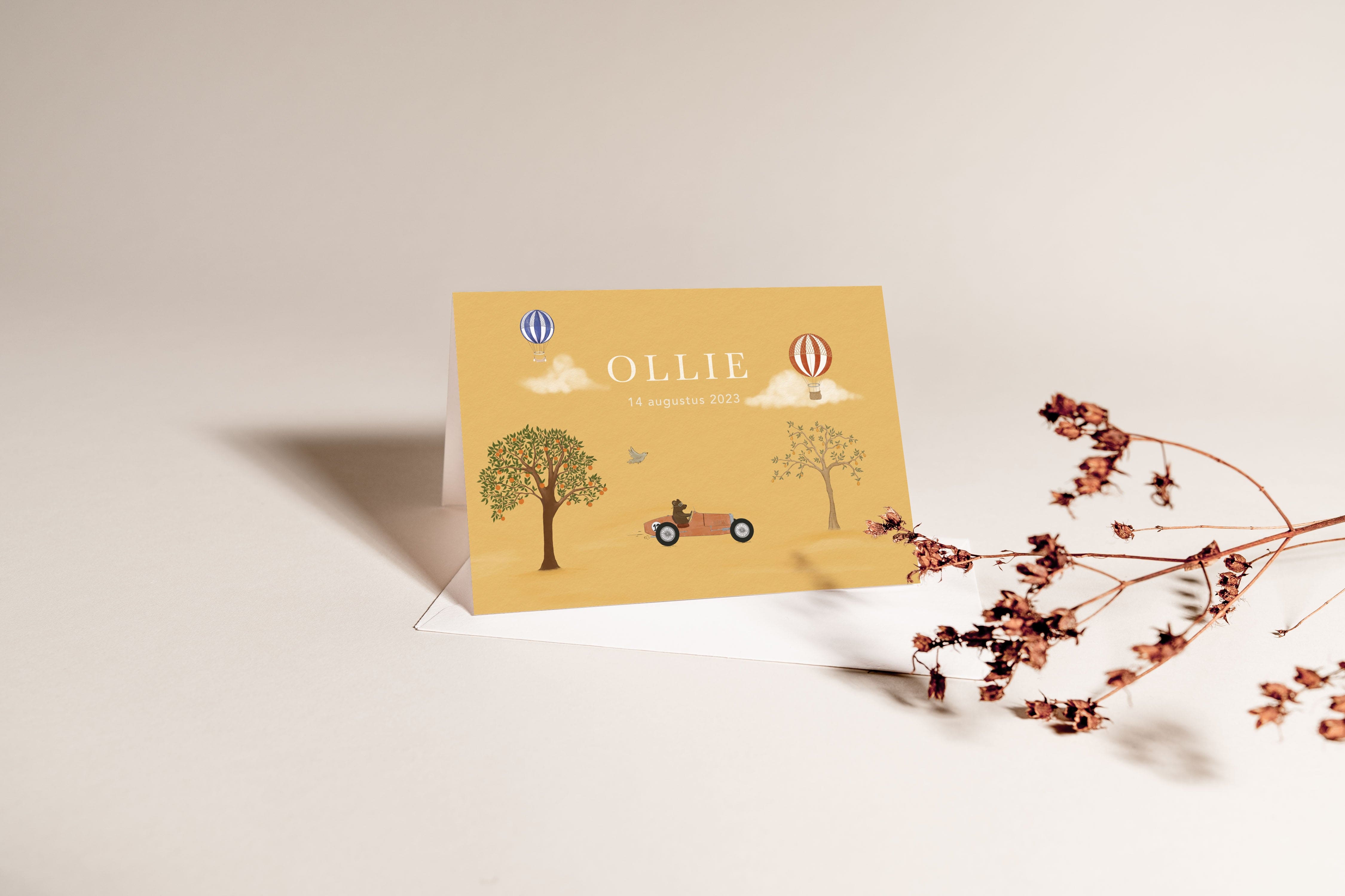 Birth announcement racing car