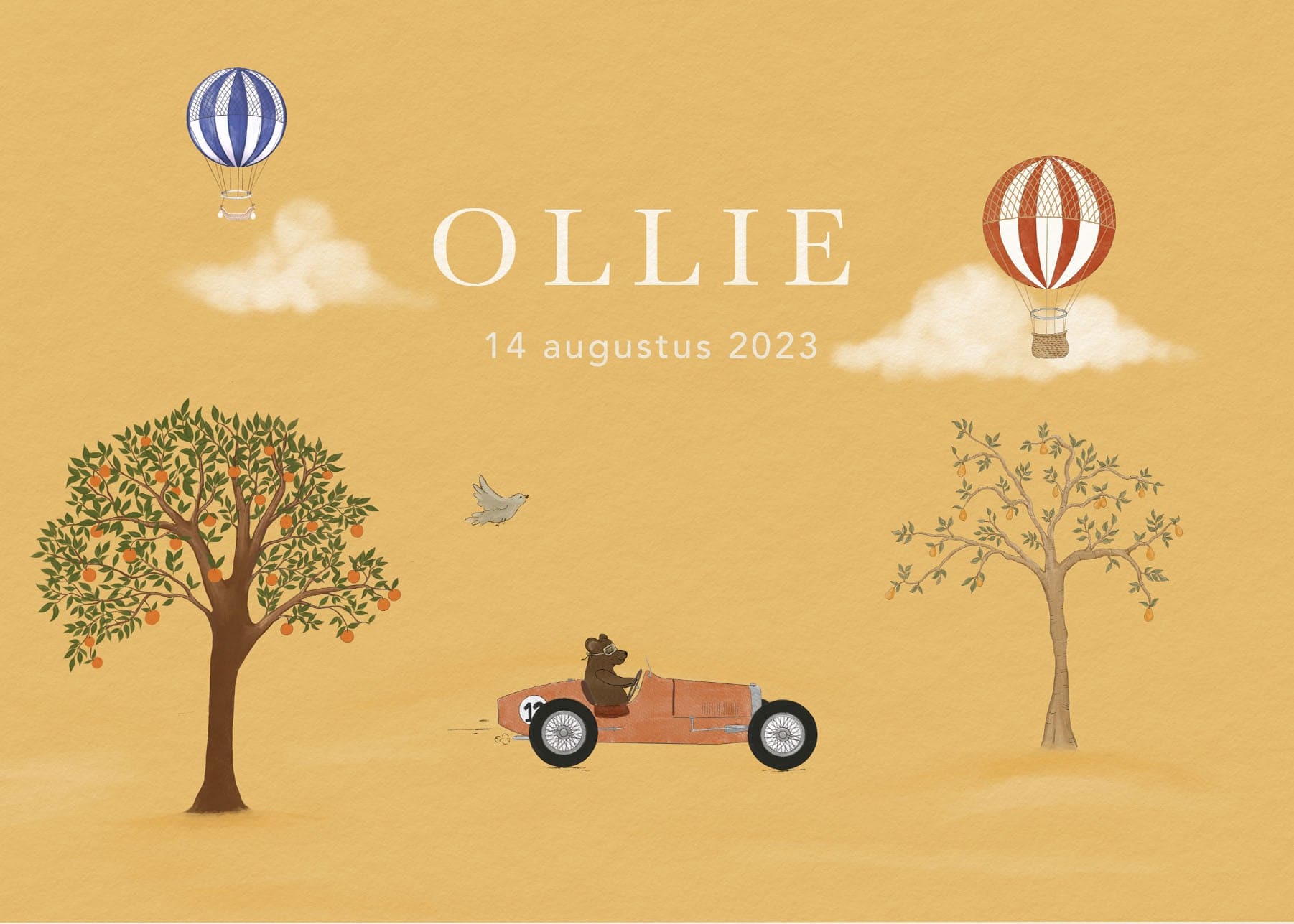 Birth announcement card - race car and hot air balloons